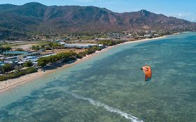 Phi Kite School